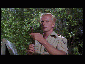 doc0243.gif